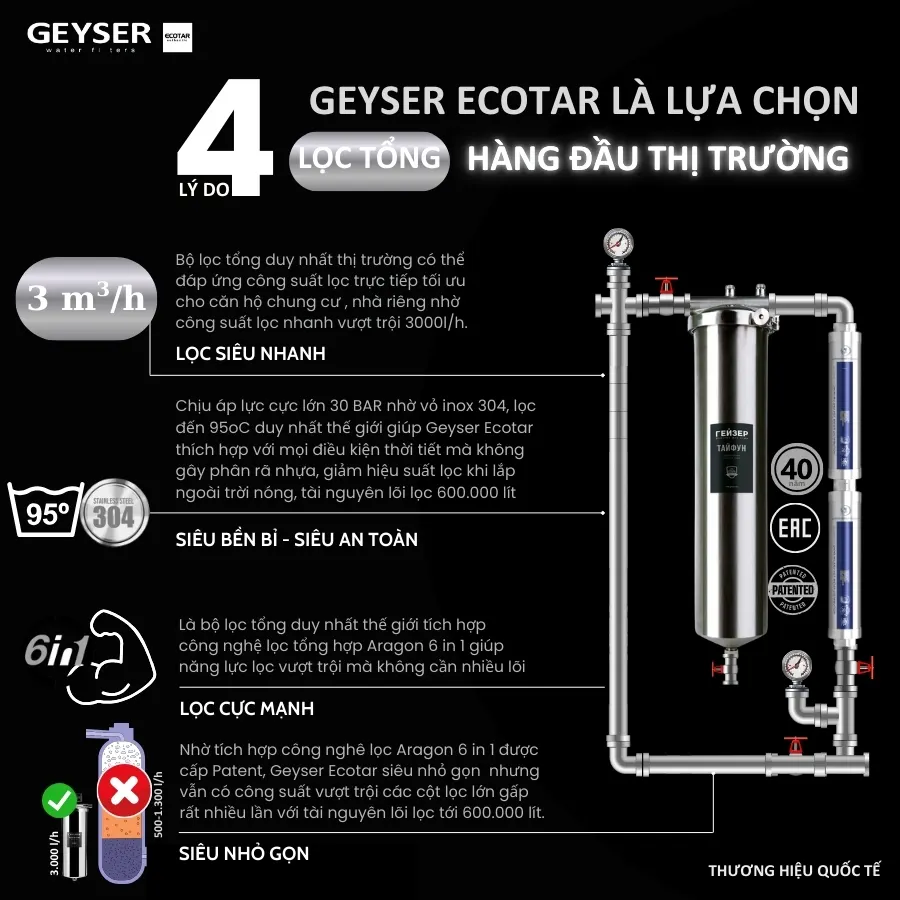 Hệ thống lọc nước tổng đầu nguồn Geyser Ecotar 1F2A - ảnh 2