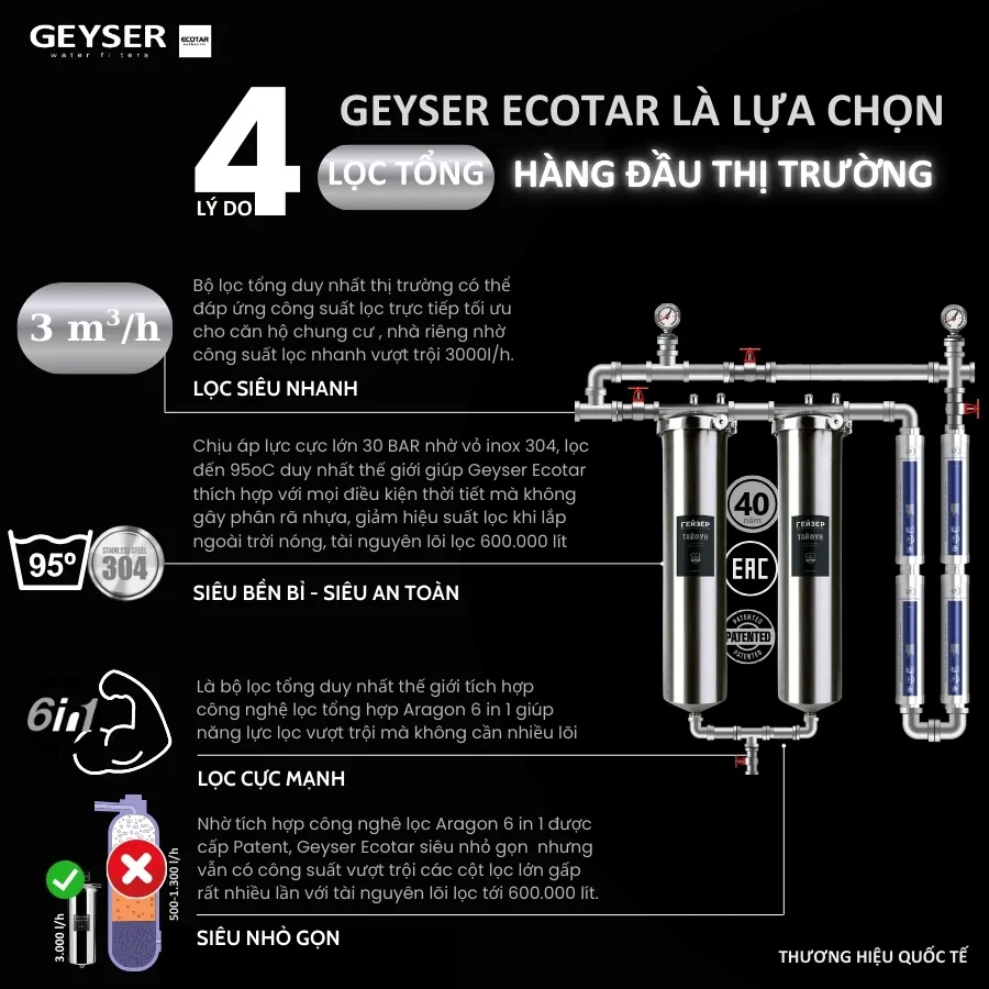 Hệ thống lọc nước tổng đầu nguồn Geyser Ecotar 2F4A - ảnh 2
