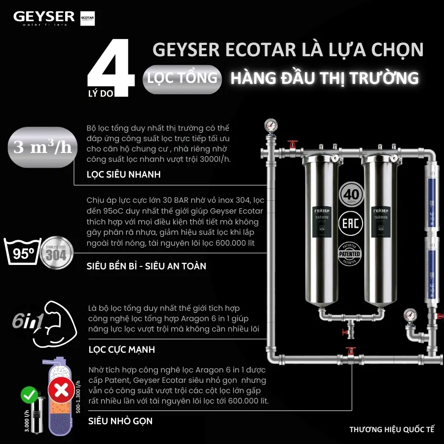 Hệ thống lọc nước tổng đầu nguồn Geyser Ecotar 2F2A - ảnh 2