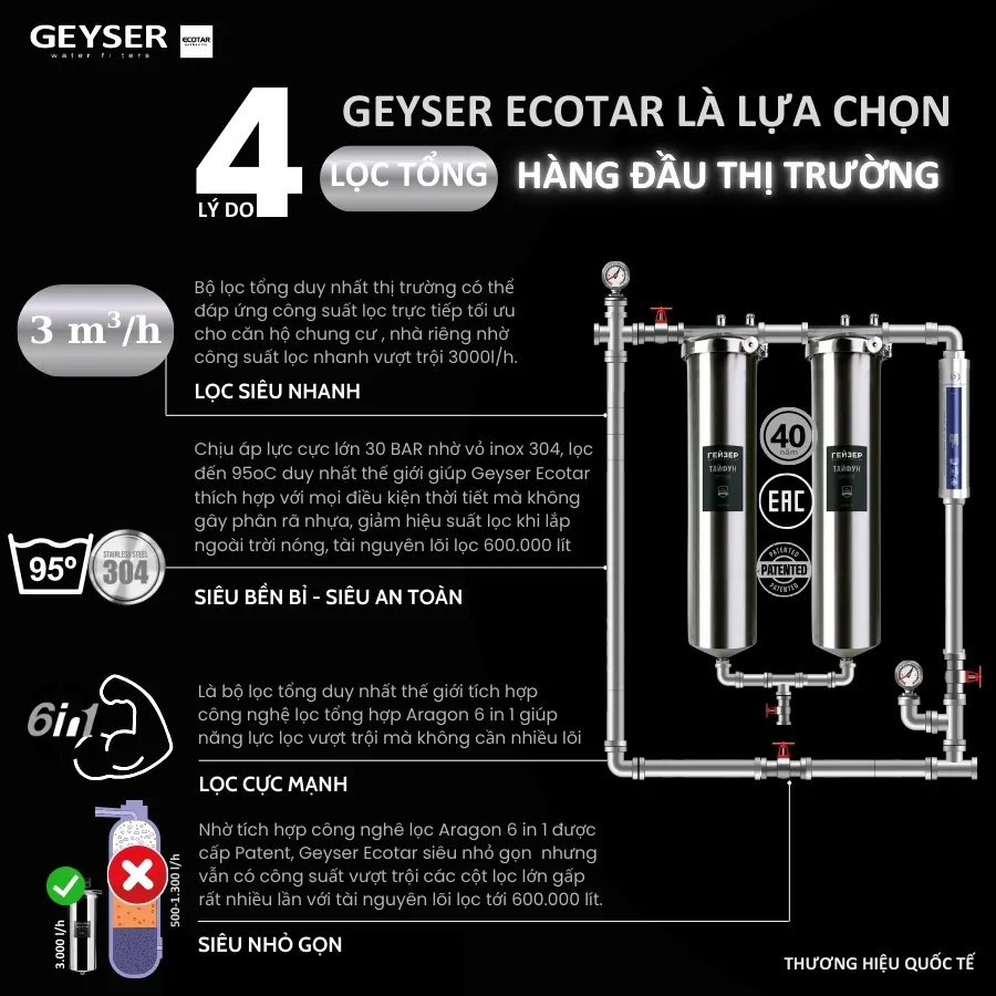 Hệ thống lọc nước tổng đầu nguồn Geyser Ecotar 2F1A - ảnh 2