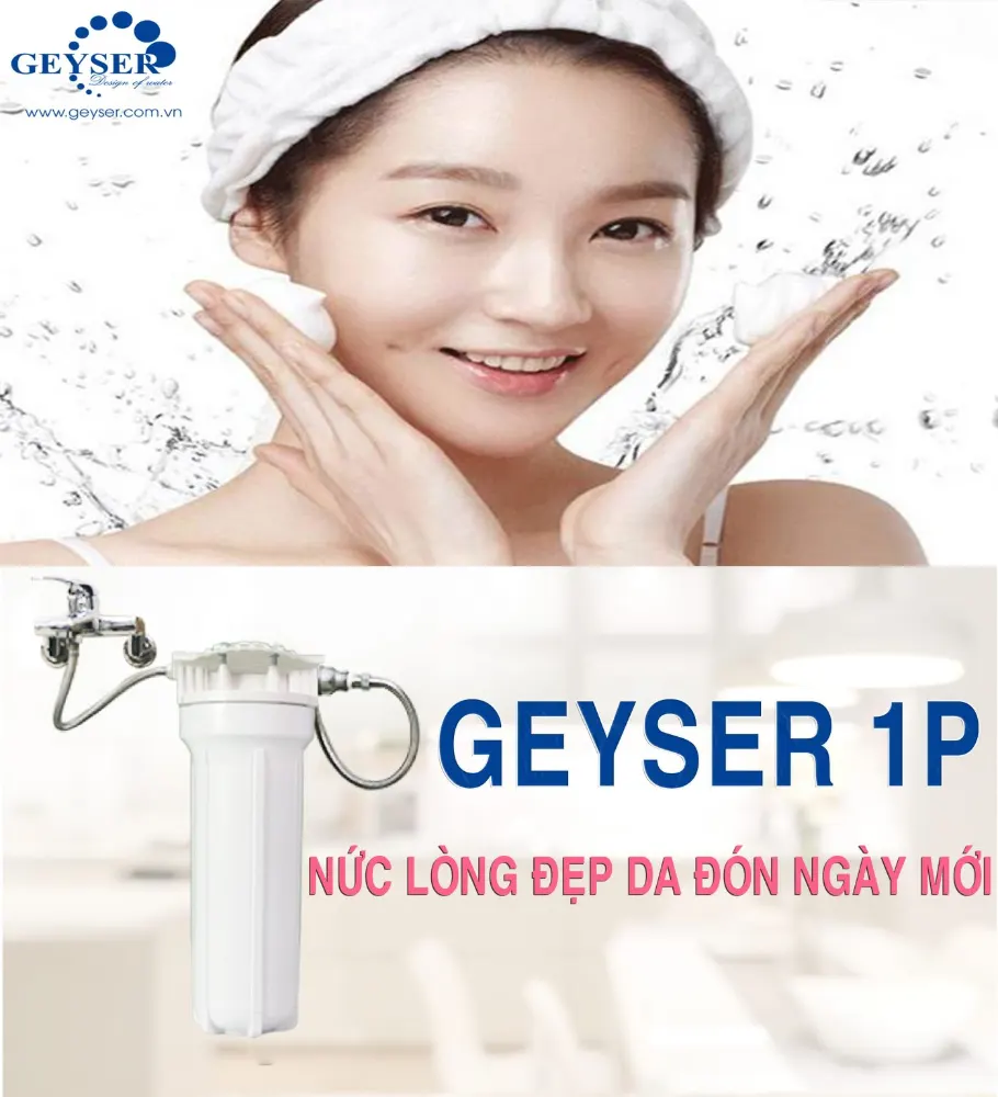 Bộ lọc nước thô đầu nguồn Geyser 1P - ảnh 3