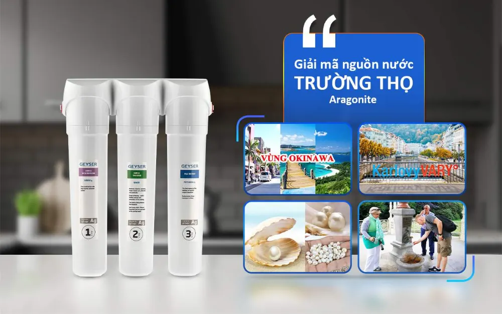 Vật liệu Aragonite là bí quyết trường thọ