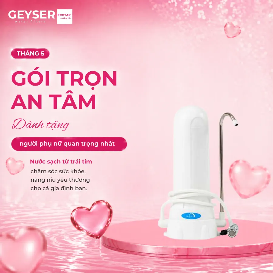 Máy lọc gắn vòi để bàn Geyser 1UH Euro chính hãng