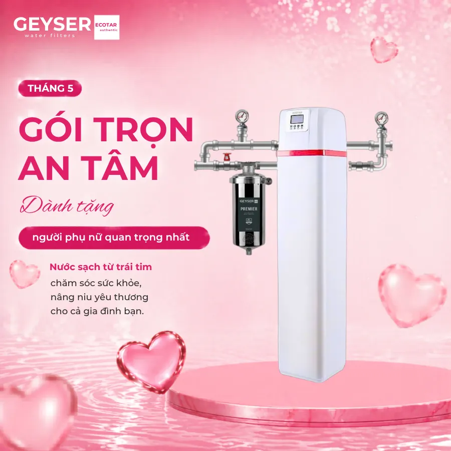 Lọc tổng đầu nguồn Geyser Ecotar 1F10F Smart chính hãng