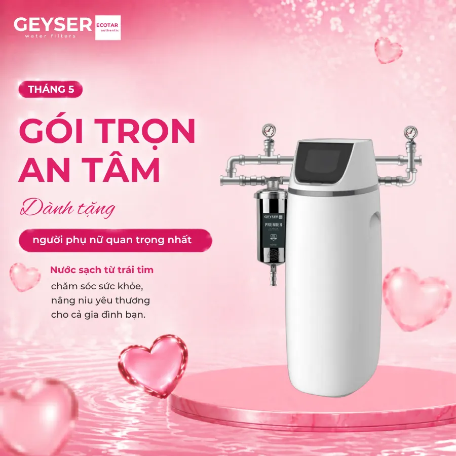 Lọc tổng đầu nguồn Geyser Ecotar 1F10S Smart chính hãng