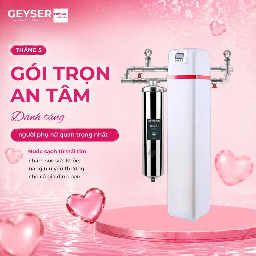 Lọc tổng đầu nguồn Geyser Ecotar 1F20F Smart chính hãng