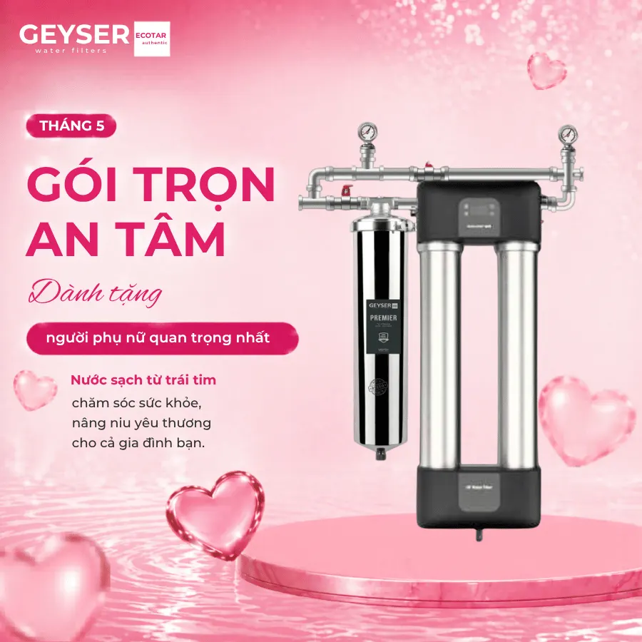 Lọc tổng đầu nguồn Geyser Ecotar 1F30UF thông minh chính hãng