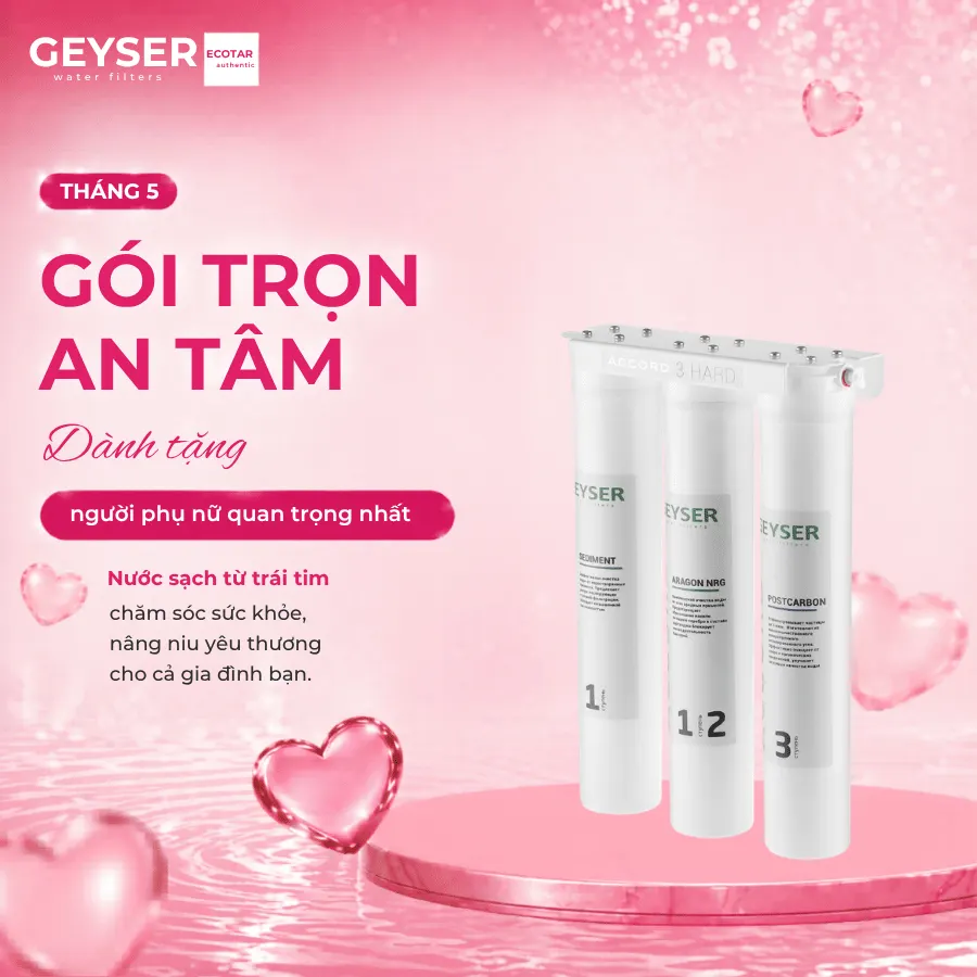 Máy lọc nước chuẩn khoáng Geyser Ecotar Accord 3 chính hãng