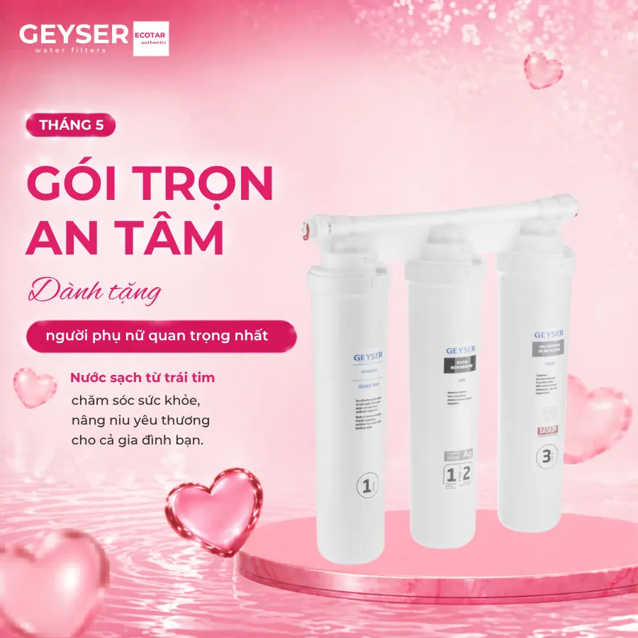 Bộ tiền xử lý cho máy lọc nước ion kiềm Geyser chính hãng