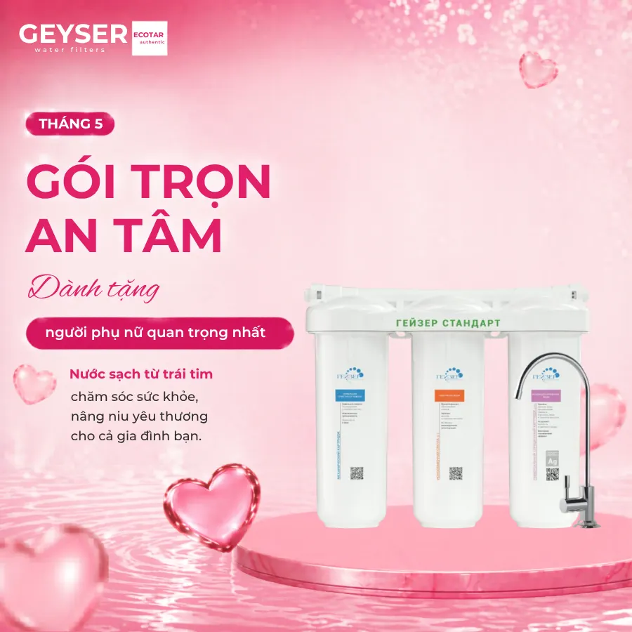 Máy lọc nước nano Geyser Ecotar Standard Hard chính hãng