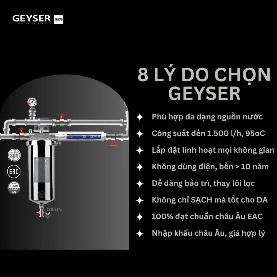 Bộ lọc nước tổng đầu nguồn mini Geyser Ecotar 1F1As - ảnh 5