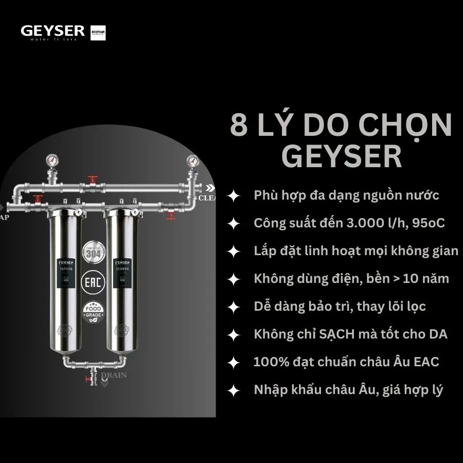 Hệ thống lọc nước tổng đầu nguồn Geyser Ecotar 2F - ảnh 6