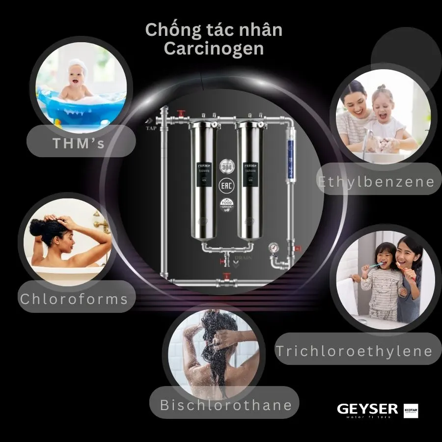 Lọc tổng Geyser Ecotar 2F1A loại bỏ hiệu quả tác nhân gây ung thư