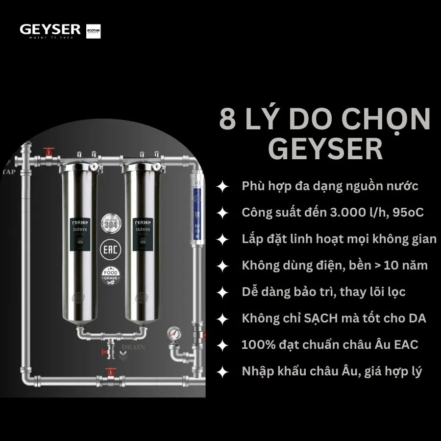 Hệ thống lọc nước tổng đầu nguồn Geyser Ecotar 2F1A - ảnh 6