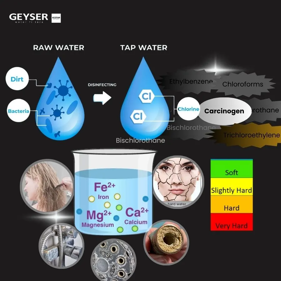 Hệ thống lọc nước tổng đầu nguồn Geyser Ecotar 2F2A - ảnh 5