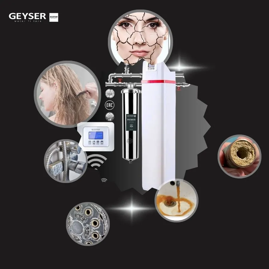 Hệ thống lọc tổng đầu nguồn gia đình tích hợp wifi thông minh Geyser Ecotar 1F20F Smart 1
