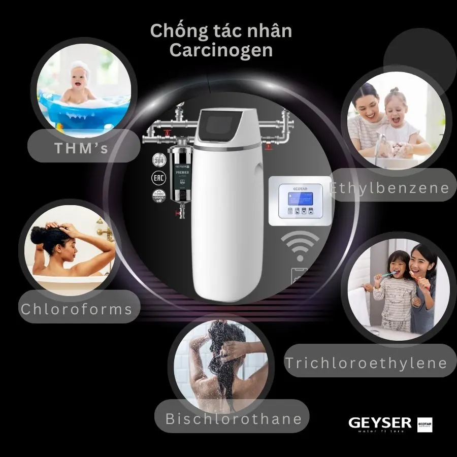 Lọc tổng đầu nguồn Geyser Ecotar 1F10S Smart - ảnh 5