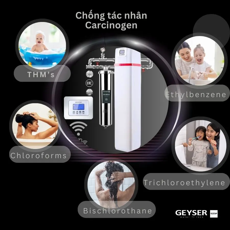 Hệ thống lọc tổng đầu nguồn gia đình tích hợp wifi thông minh Geyser Ecotar 1F20F Smart 3