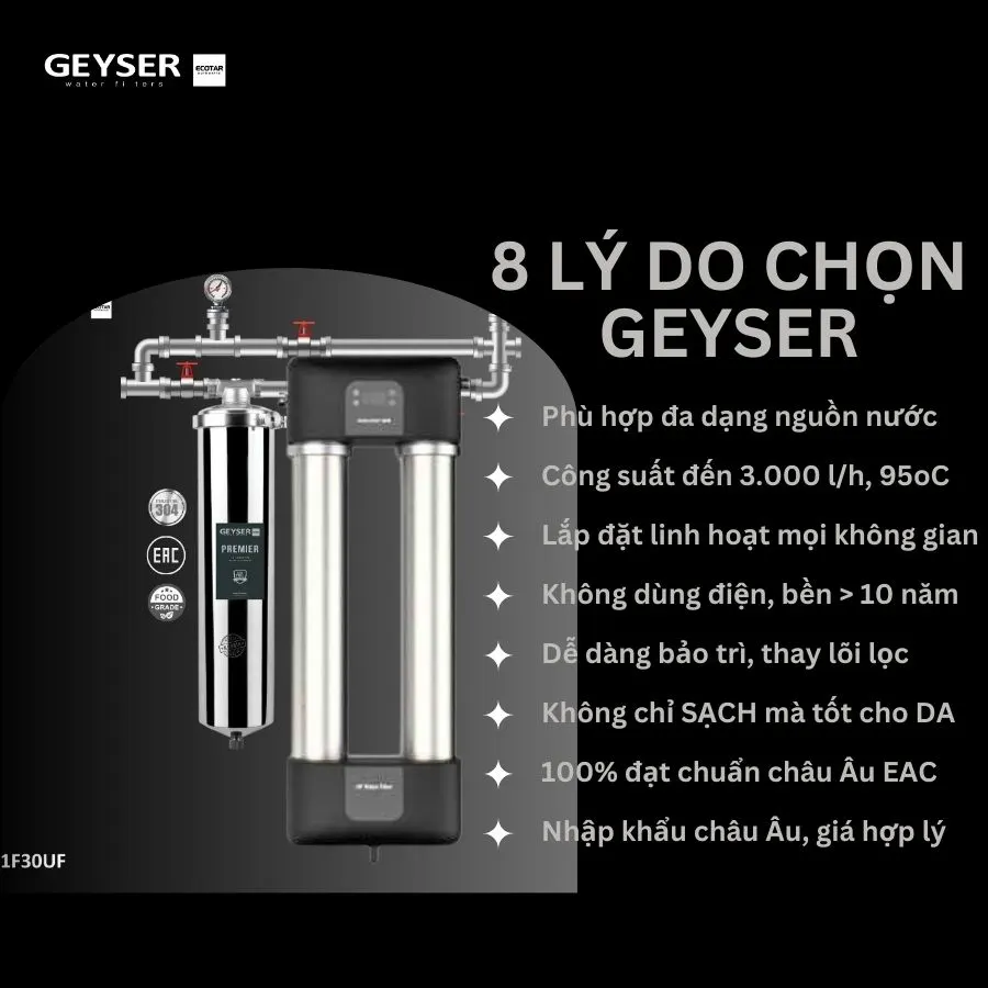 Hệ thống siêu lọc tổng đầu nguồn gia đình tích hợp điều khiển thông minh Geyser Ecotar 1F30UF 6