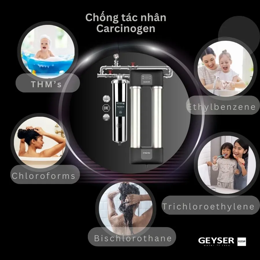 Hệ thống lọc tổng đầu nguồn gia đình 1F30UF giúp chống các tác nhân gây ung thư trong nước