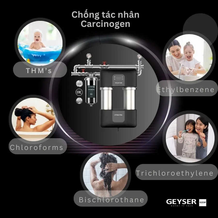 Hệ thống siêu lọc tổng đầu nguồn gia đình tích hợp điều khiển thông minh Geyser Ecotar 1F15UF 3