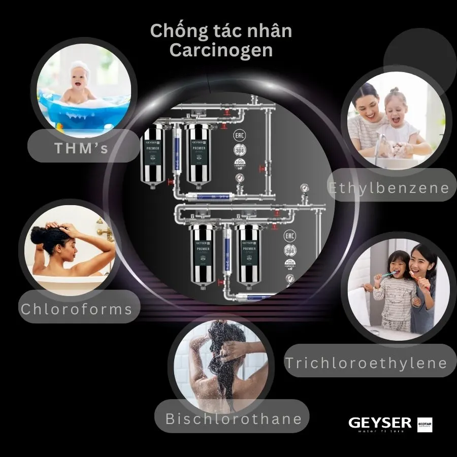 Lọc tổng đầu nguồn âm trần cao cấp dành cho Penthouse Geyser Ecotar 4F4As 8