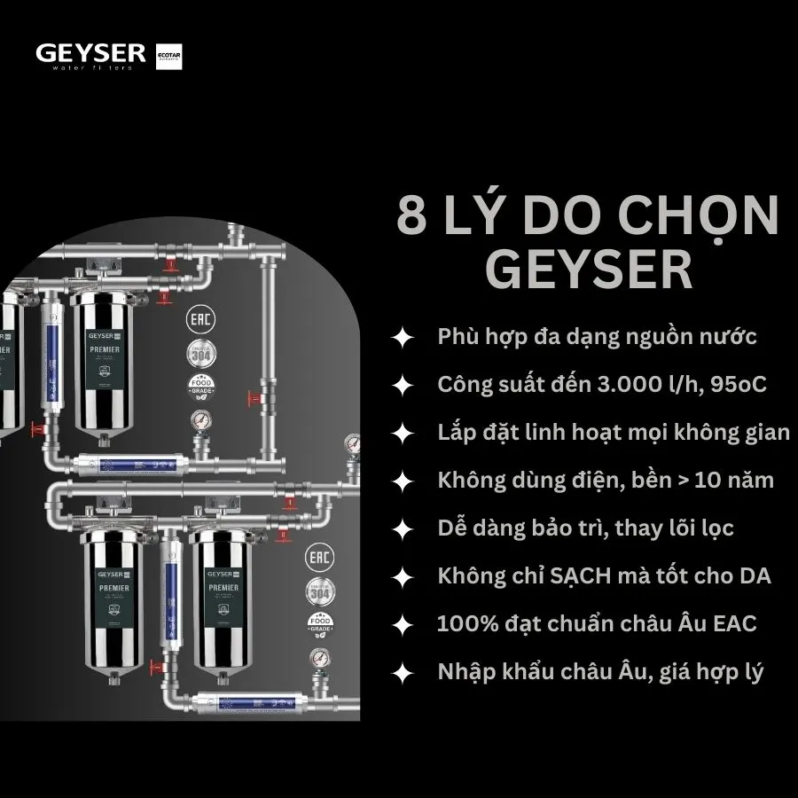 Lọc tổng đầu nguồn âm trần cao cấp dành cho Penthouse Geyser Ecotar 4F4As 5