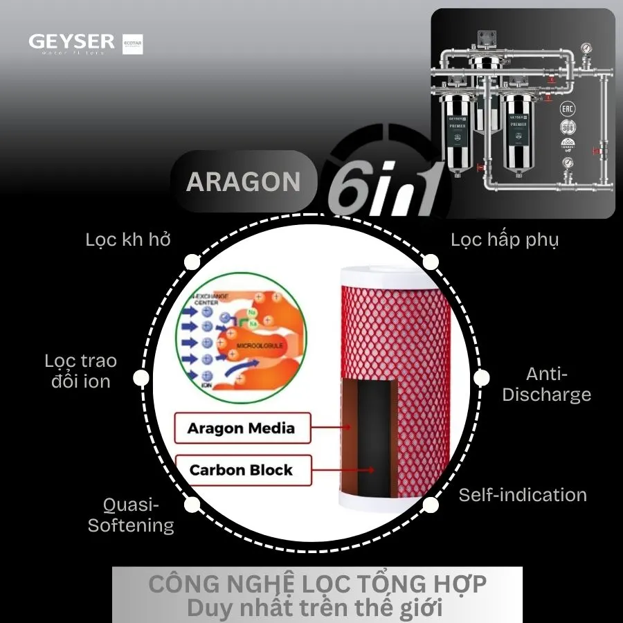 Lọc tổng đầu nguồn cho chung cư nước nóng nguội trực tiếp Geyser Ecotar 3Fs 6