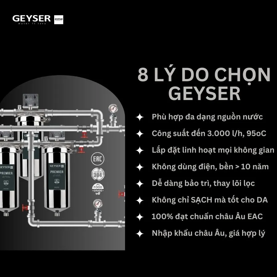 Lọc tổng đầu nguồn cho chung cư nước nóng nguội trực tiếp Geyser Ecotar 3Fs 5