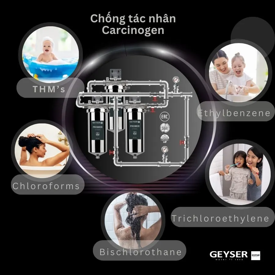 Lọc tổng đầu nguồn cho chung cư nước nóng nguội trực tiếp Geyser Ecotar 3Fs 2
