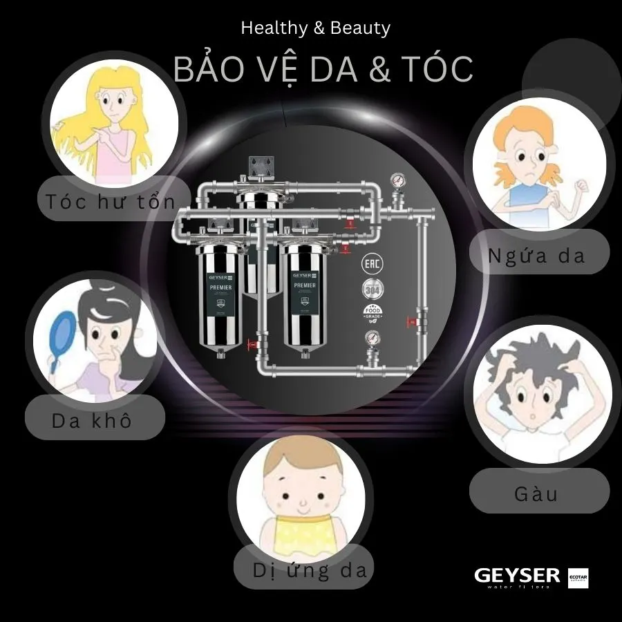 Lọc tổng đầu nguồn cho chung cư nước nóng nguội trực tiếp Geyser Ecotar 3Fs 1