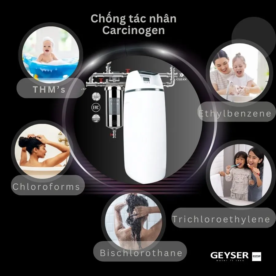 Lọc tổng đầu nguồn Geyser Ecotar 1F10S - ảnh 5