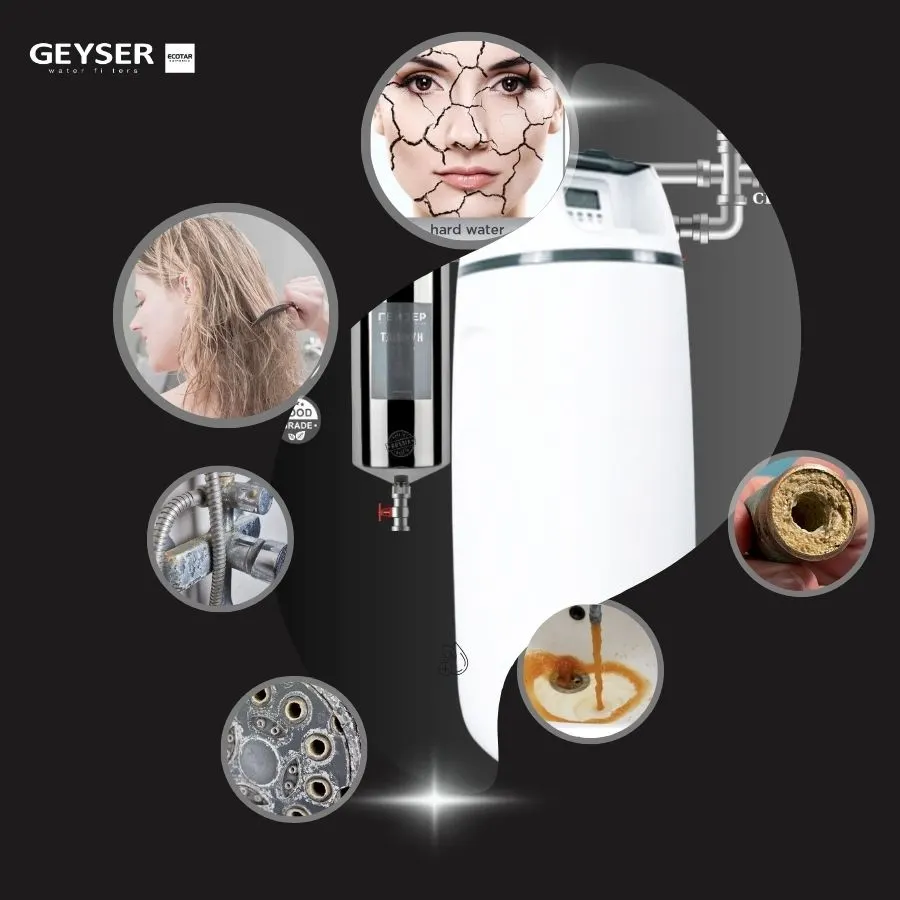Lọc tổng đầu nguồn Geyser Ecotar 1F10S - ảnh 6