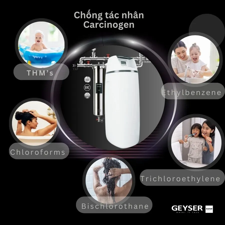 Lọc tổng đầu nguồn Geyser Ecotar 1F20S carcinogen