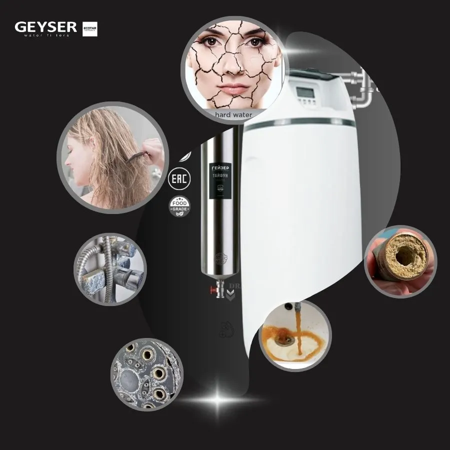 Lọc tổng đầu nguồn Geyser Ecotar 1F20S chống bám cặn