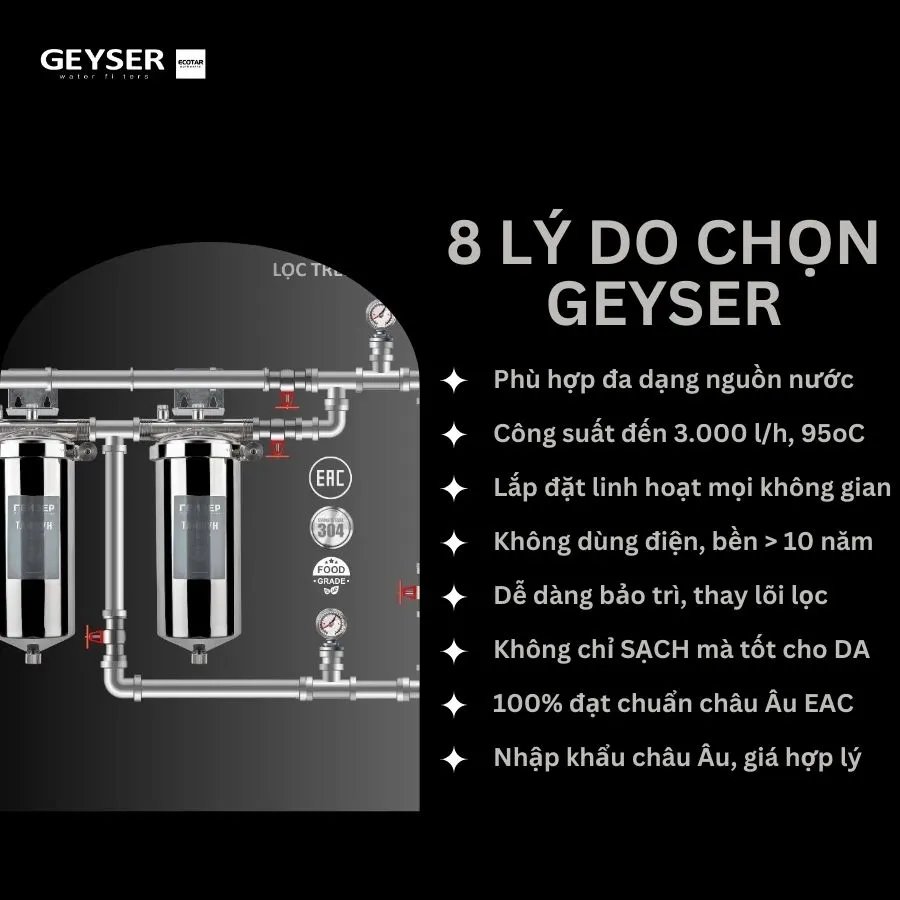 8 lý do bạn nên lựa chọn lọc tổng đầu nguồn âm trần Geyser Ecotar 2Fs