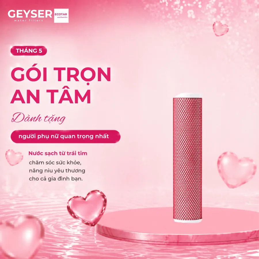 Lõi lọc Geyser Aragon 3 20BB chính hãng