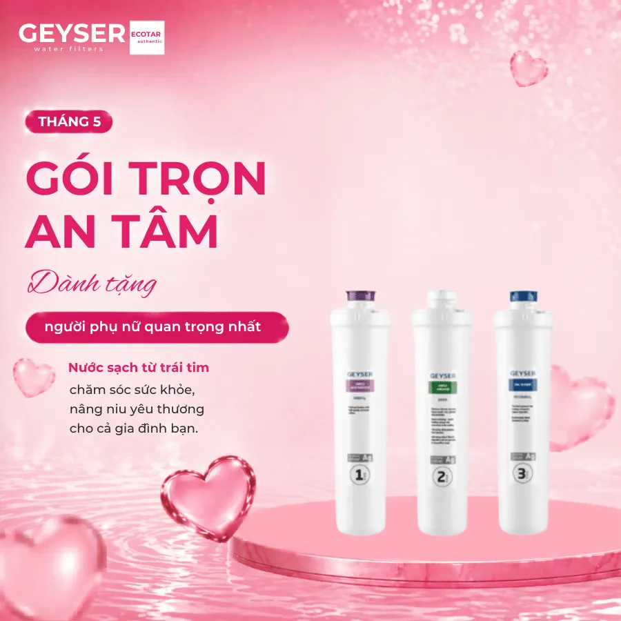 Lõi lọc nước Geyser Aragon Ecolux chính hãng