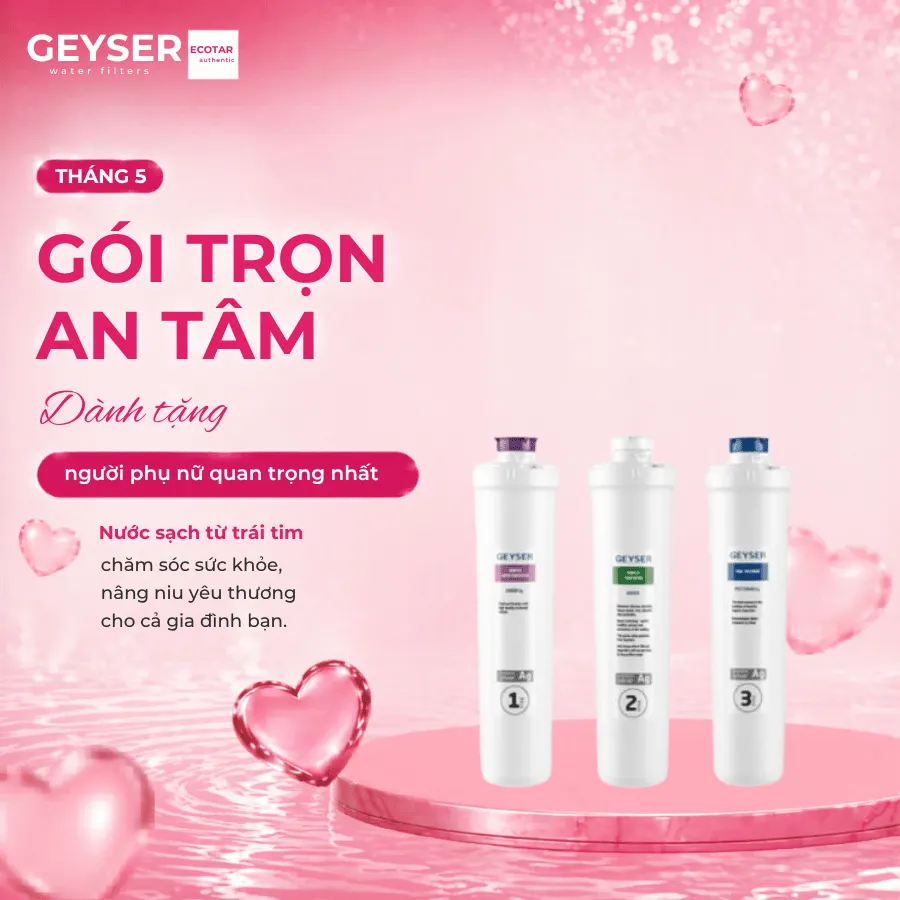 Lõi lọc nước Geyser CBC Ecolux chính hãng
