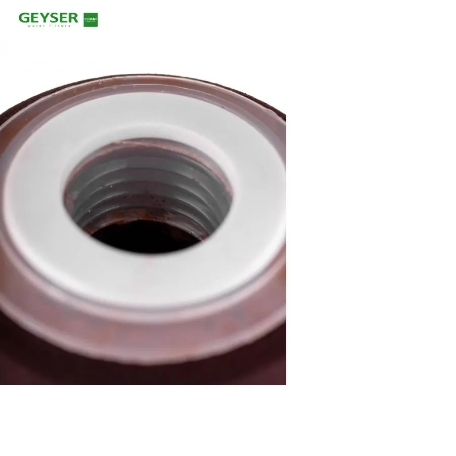 Lõi lọc nước nano Geyser Aragon EH - ảnh 2
