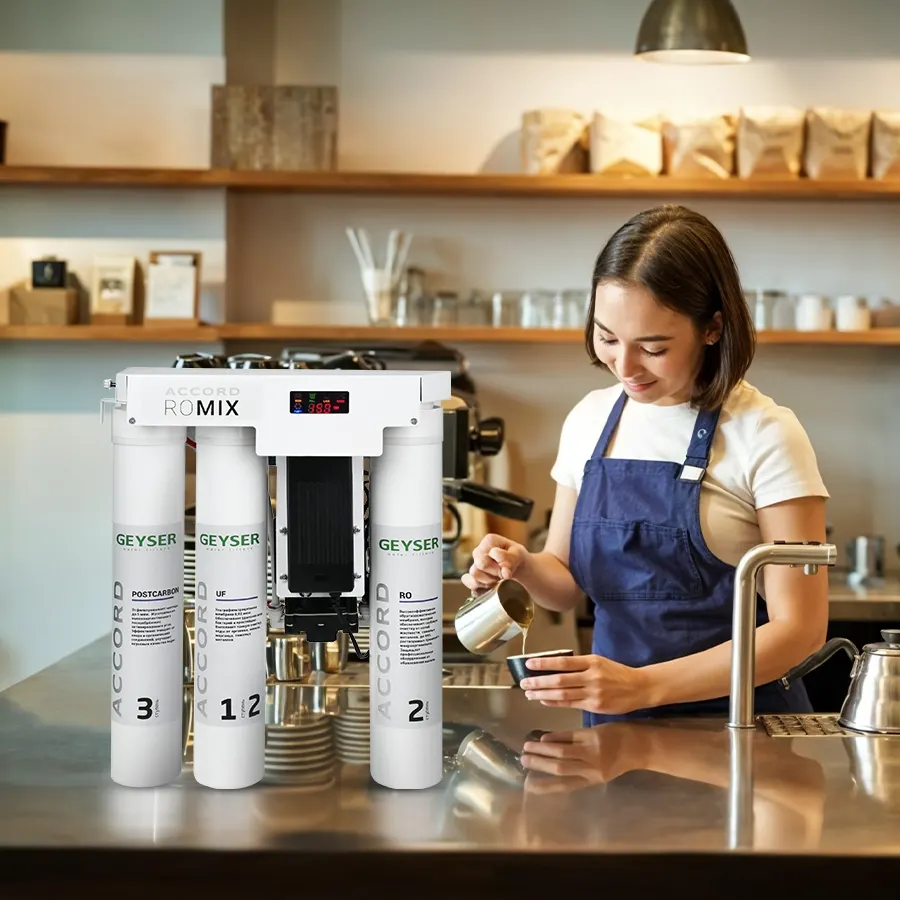 Máy lọc nước chuẩn khoáng Geyser Ecotar Accord - ảnh 6