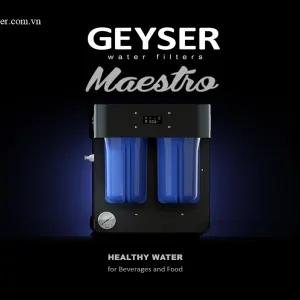 Máy lọc nước Geyser Meastro