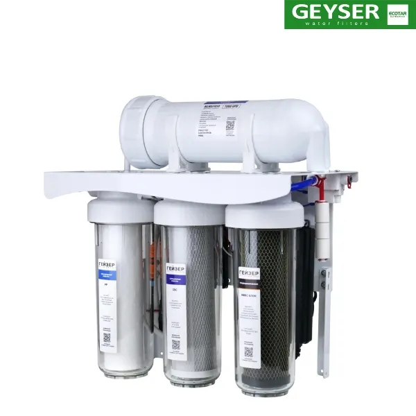 Máy lọc nước Geyser Ecotar Prestige Pro 1000 - ảnh 2