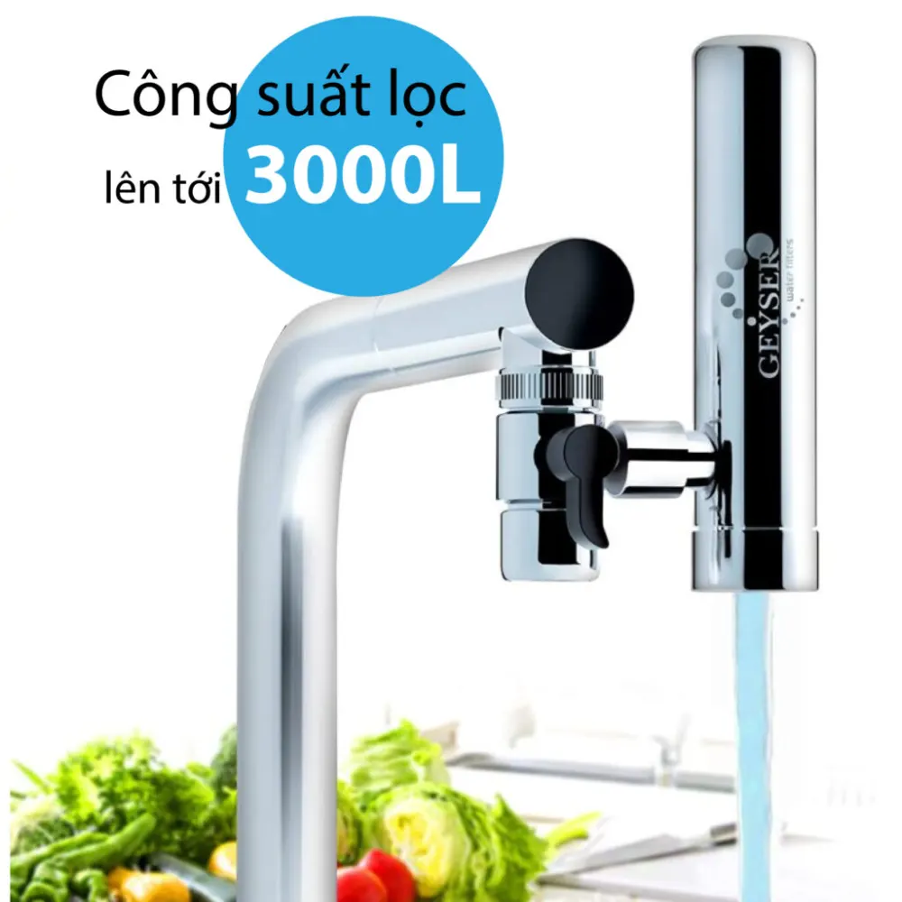Bộ 3 lõi thay thế Geyser Euro - ảnh 2