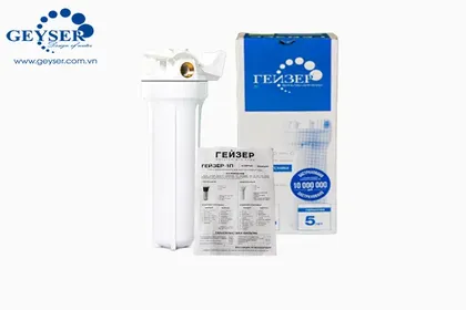 Bộ lọc nước thô đầu nguồn Geyser 1P