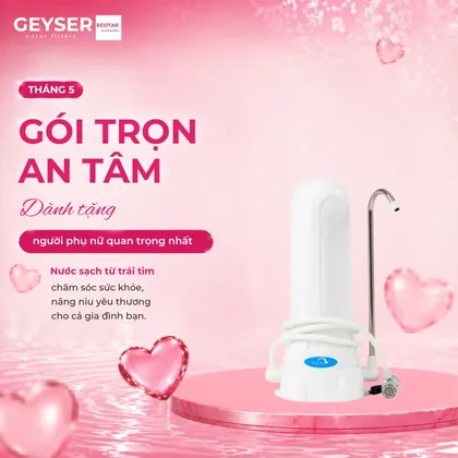 Máy lọc gắn vòi để bàn Geyser 1UH Euro