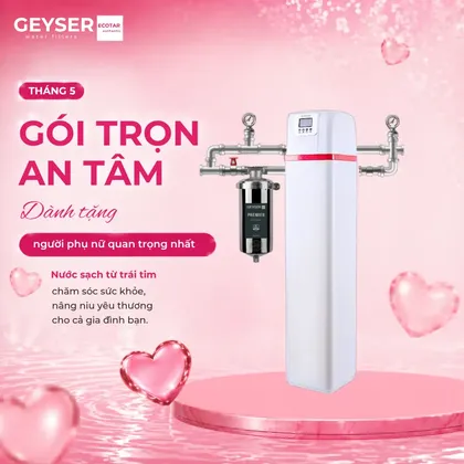 Hệ thống lọc nước đầu nguồn gia đình Geyser Ecotar 1F10F Smart