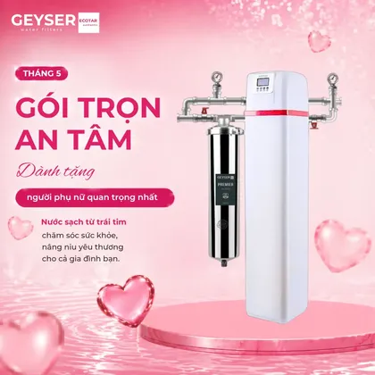 Hệ thống lọc nước đầu nguồn gia đình Geyser Ecotar 1F20F Smart