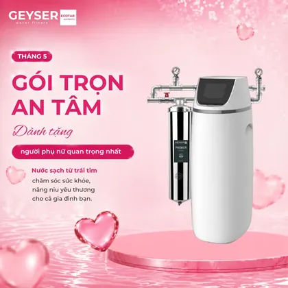 Hệ thống lọc nước đầu nguồn gia đình Geyser Ecotar 1F20S Smart