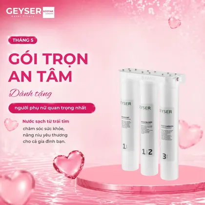 Máy lọc nước chuẩn khoáng Geyser Ecotar Accord 3 Hard cho máy pha cà phê